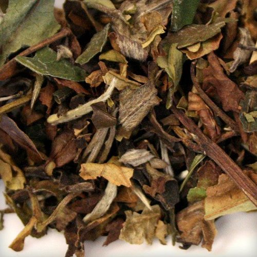 Pai Mu Tan (White Peony Tea) - Out of Stock Zen's Tea House