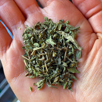 Thumbnail for Stevia Leaves Zen's Tea House