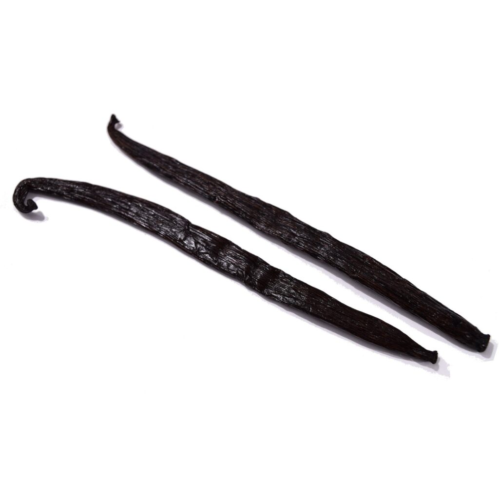 Organic Vanilla Bean